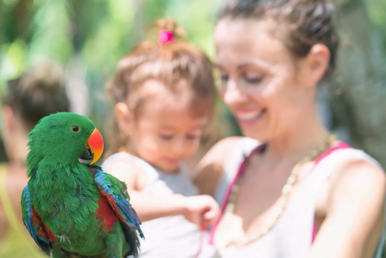A mother and her small daughter meeting a green and red parrot at a festival
