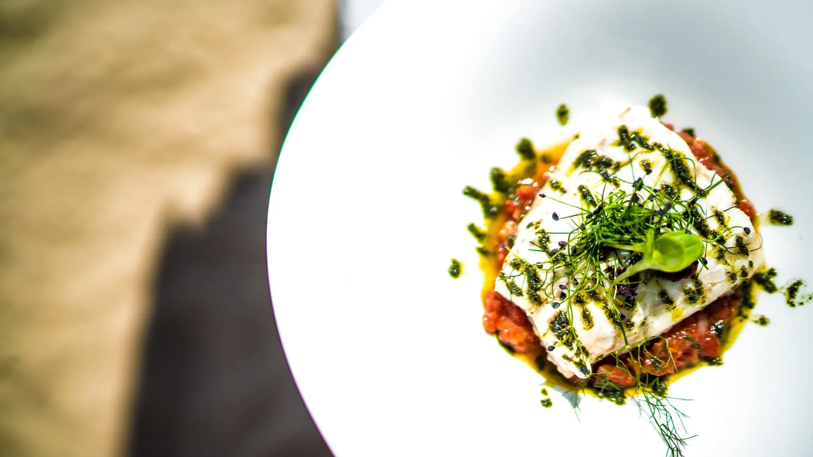 A dish of fish on tomato with a herb dressing and micro greens on a white plate, from above