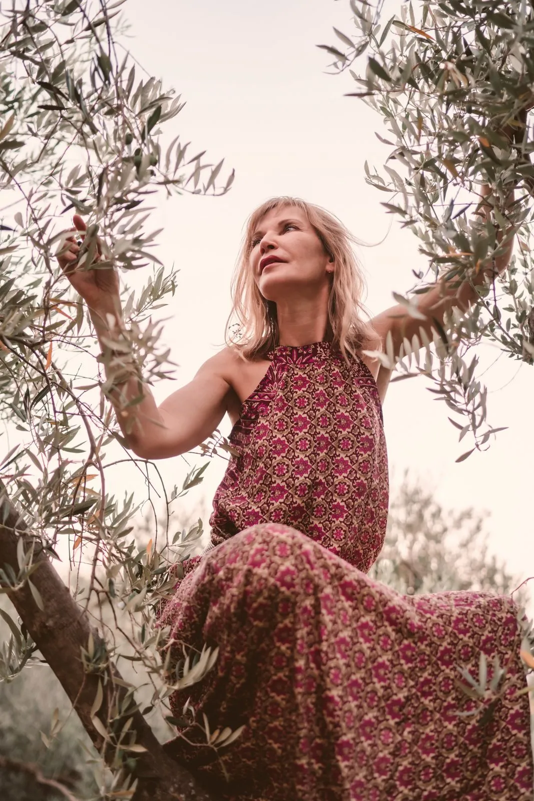 A woman in a long patterned dress sitting in the branches of an olive tree, reaching up into the leaves