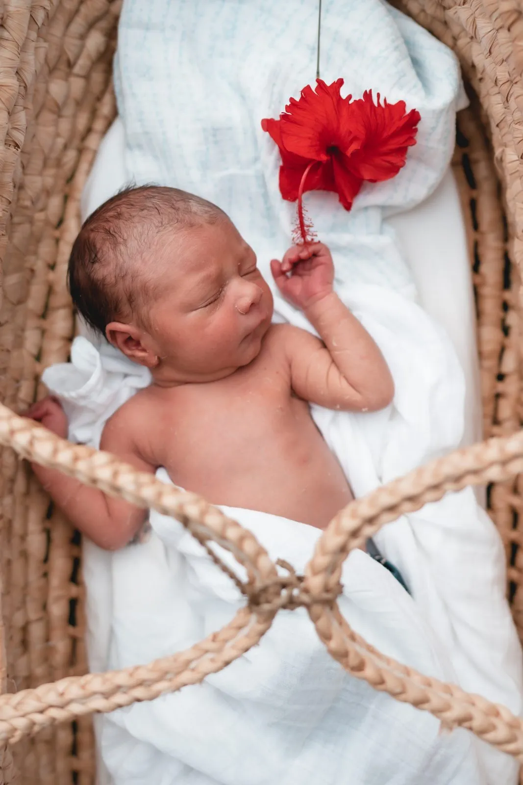 A newborn asleep in a basket, a red hibiscus resting on the blanket beside her