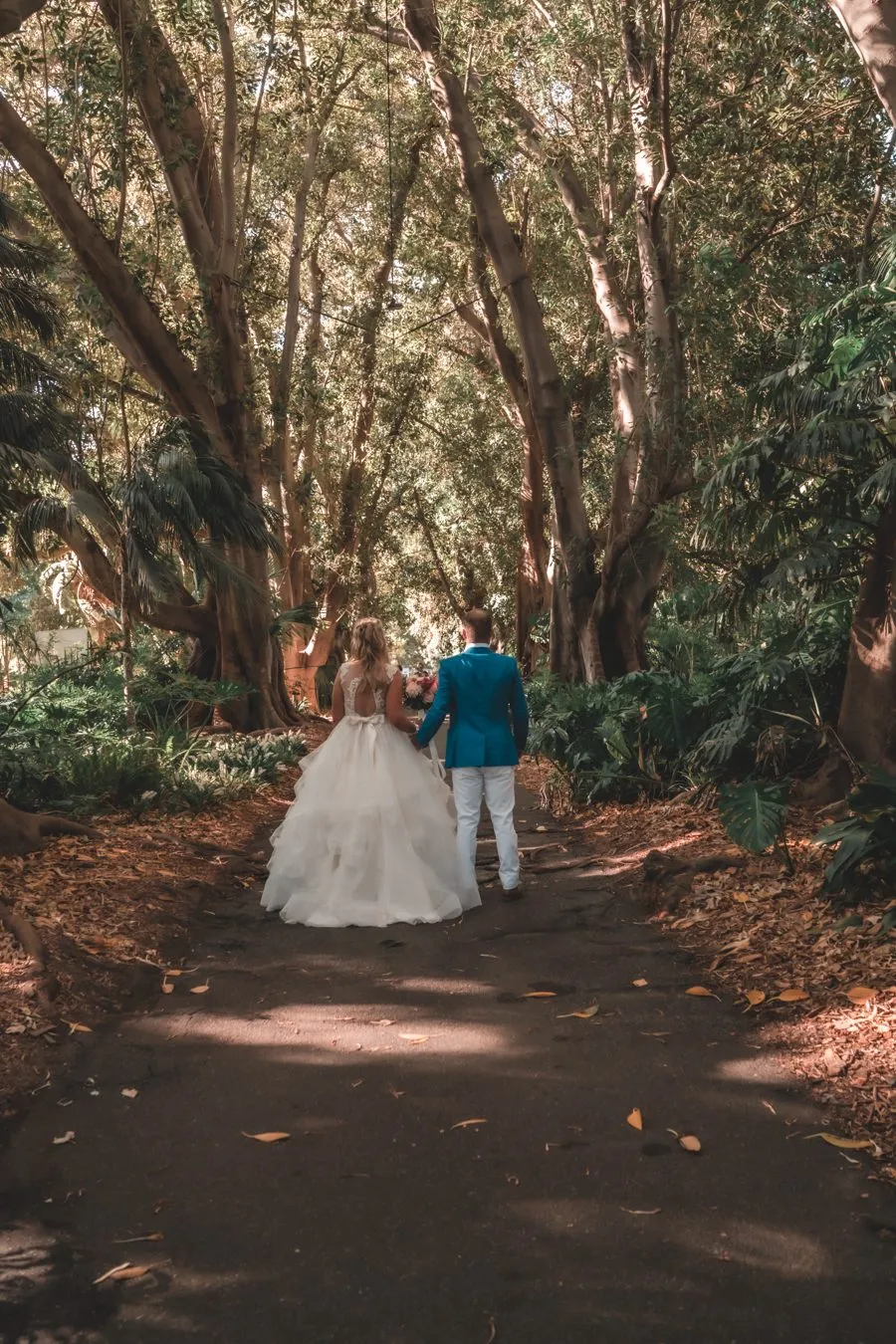 A bride and groom walking away down an avenue of old trees, her long train trailing on the path